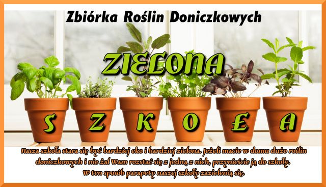 zielona